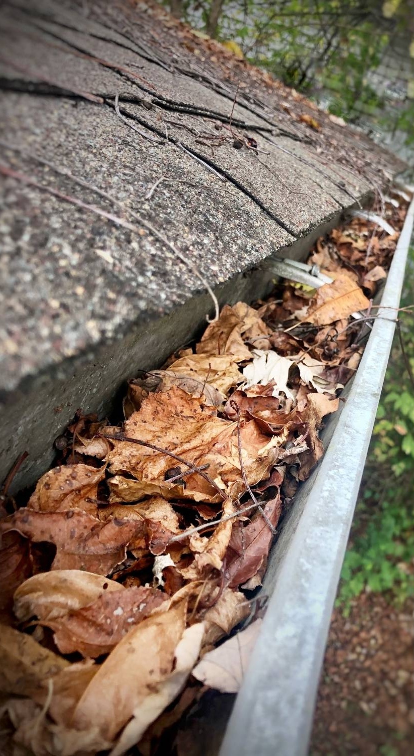 buy gutter covers